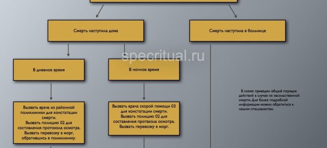 Смерть человека в больнице или дома: действия близких и родственников, инструкция