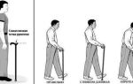 Как подобрать трость для ходьбы по росту: параметры