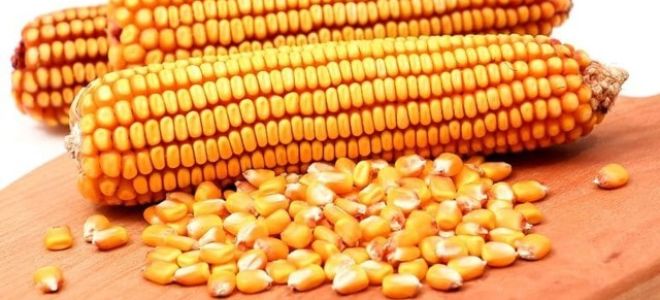 Атерома мочки уха: лечение народными средствами
