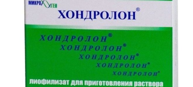 Как восстановить хрящевую ткань в суставах в пожилом возрасте