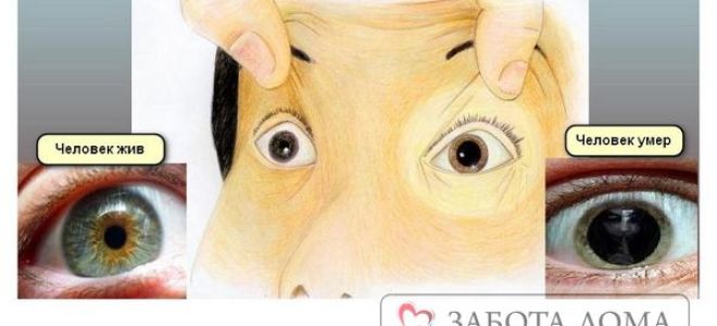 Зрачки при наступлении клинической и биологической смерти – основные изменения в момент смерти и как реанимировать больного?
