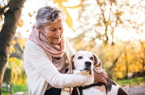 Как правильно выбрать собаку для престарелого человека