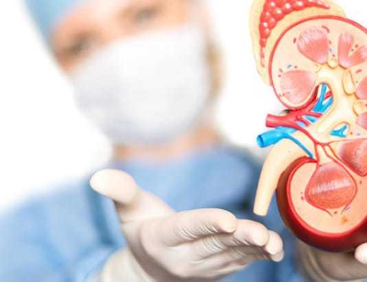 Нефрогенная артериальная гипертензия: симптомы и лечение