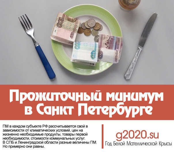 Какой прожиточный минимум пенсионера в СПб в 2020 году: актуальное значение суммы ПМ