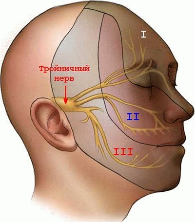 Причины развития височного тендинита: ушибы и не правильный прикус