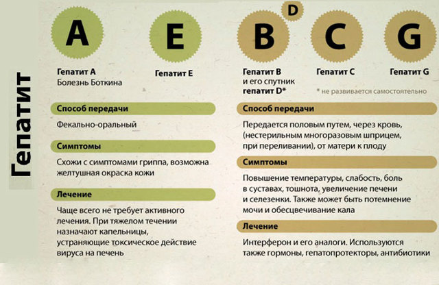 Гепатит a, b, c, e у пожилых людей: симптомы и лечение