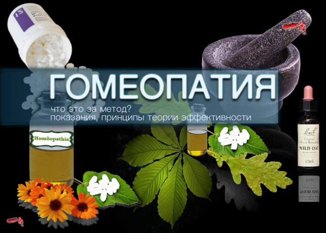 Гомеопатия: показания к применению
