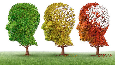 Питание при заболевании Альцгеймера: рекомендации по составлению меню