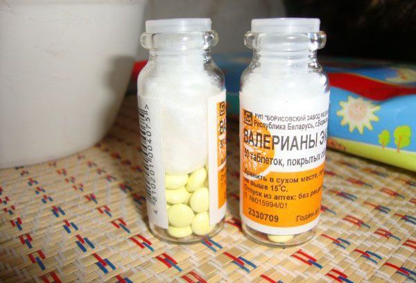 Валерьяна: полезные свойства и противопоказания для применения лекарства